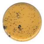 TSC Agar, 500g