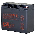 산업용전지 GP12170 (12V 17AH)